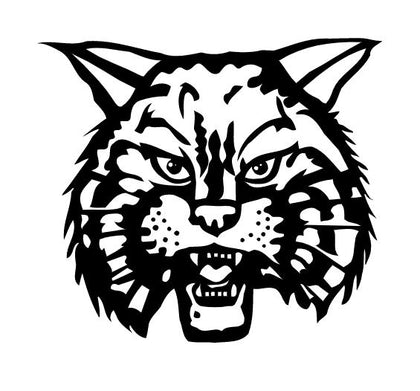Janesville School