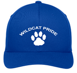 Janesville School - Embroidered Ball Cap